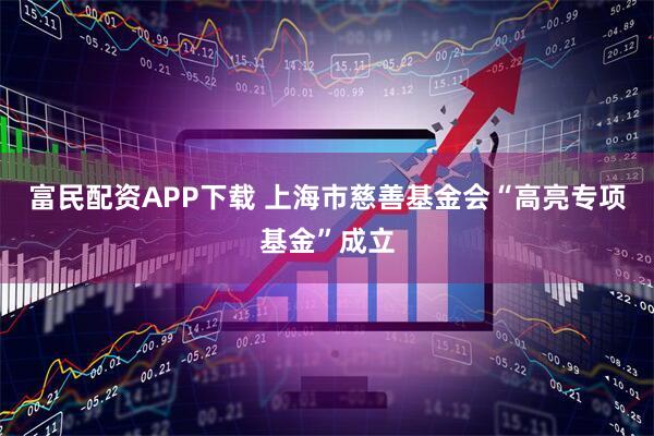 富民配资APP下载 上海市慈善基金会“高亮专项基金”成立