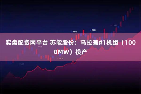 实盘配资网平台 苏能股份：乌拉盖#1机组（1000MW）投产
