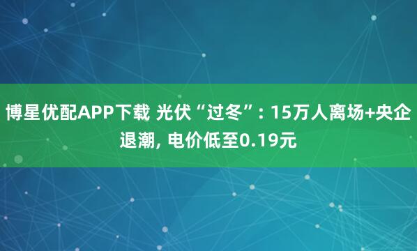 博星优配APP下载 光伏“过冬”: 15万人离场+央企退潮, 电价低至0.19元