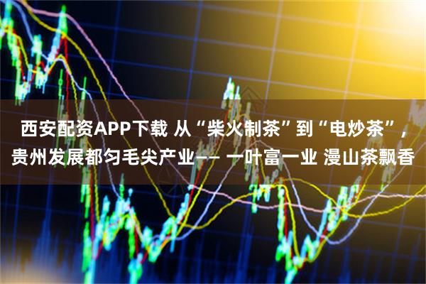 西安配资APP下载 从“柴火制茶”到“电炒茶”，贵州发展都匀毛尖产业—— 一叶富一业 漫山茶飘香