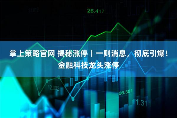 掌上策略官网 揭秘涨停丨一则消息，彻底引爆！金融科技龙头涨停