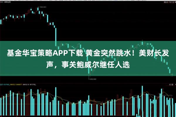 基金华宝策略APP下载 黄金突然跳水!美财长发声,事关鲍威尔继任人选