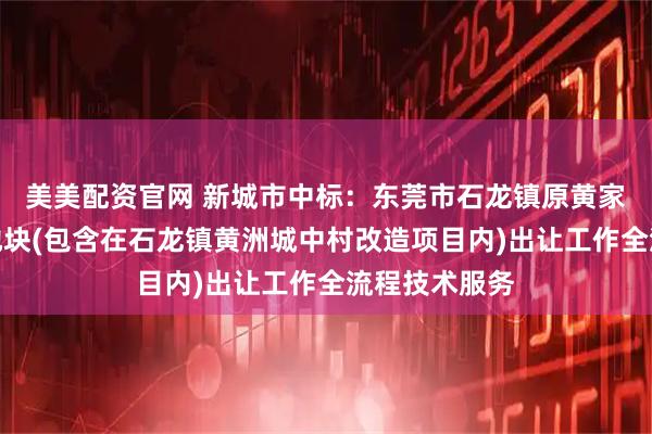 美美配资官网 新城市中标:东莞市石龙镇原黄家山轮胎市场地块(包含在石龙镇黄洲城中村改造项目内)出让工作全流程技术服务